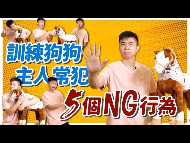 這樣做母湯！訓練狗狗主人最常犯的5個NG行為！5 Most Common Dog training Mistakes｜熊爸估狗