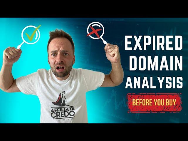 How to Analyze Expired Domains Before you Buy at Auction