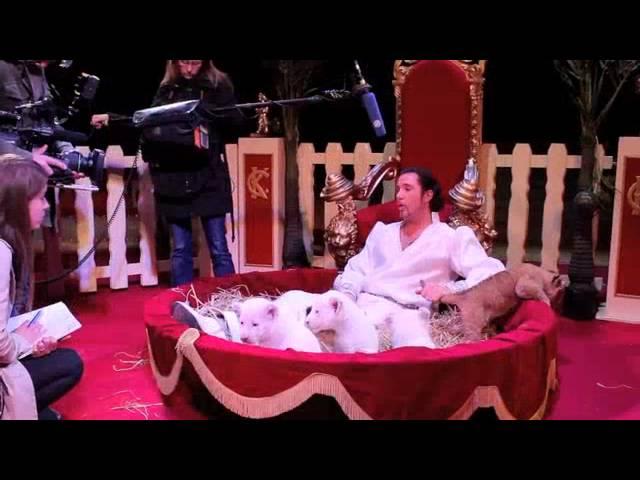 Circus Krone TV - Löwennachwuchs in Darmstadt