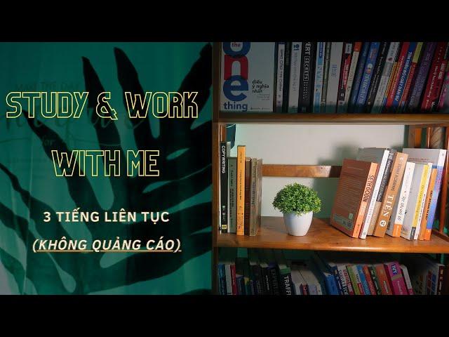 Study & Work With Me | 3 Tiếng Tập Trung Cao Độ (Không Quảng Cáo Giữa Chừng)