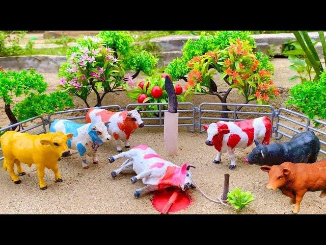 Proses Potong Sapi Qurban !! Wadidaw Proses Cow Cartoon