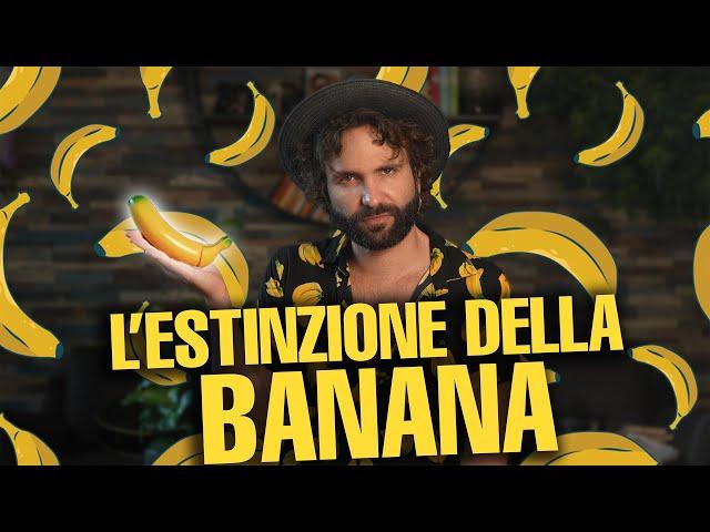 Questa potrebbe essere la tua ultima banana