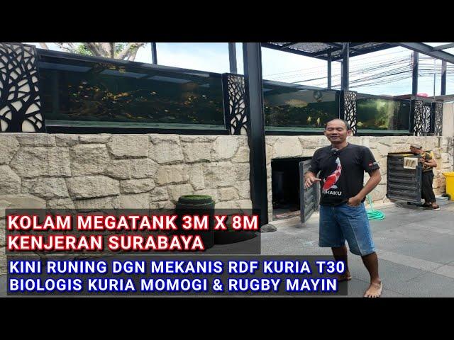 KOLAM MEGATANK 3M X 8M | KENJERAN SURABAYA