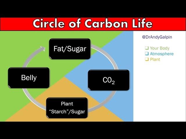 The Physiology of Fat Loss: 55 Min Phys