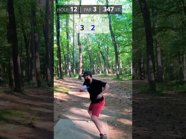 While filming the Nice! Bag or Banish round, player 2 brought it! #discgolf #bagorbanish