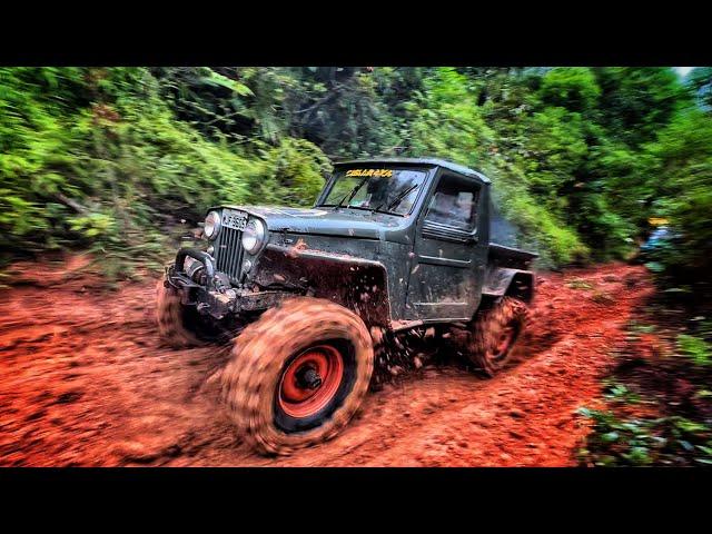 TRILHA 4x4 só jeep RAIZ  WILLYS e F75