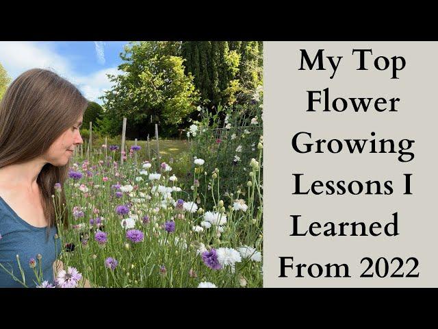 My Top Lessons I Learned Growing Cut Flowers in 2022