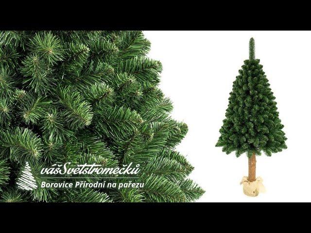 Umělý vánoční stromek Borovice Přírodní na pařezu