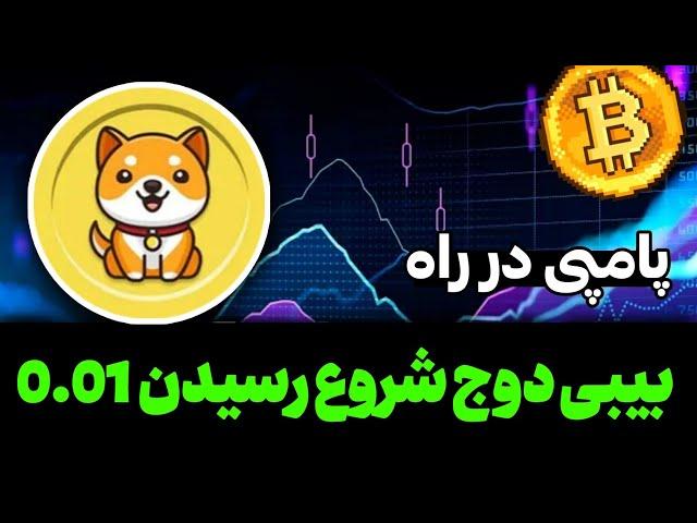 بیبی دوج روندش ادامه داره از اینجا رسیدن به 0.01 تحلیل روند بیبی دوج