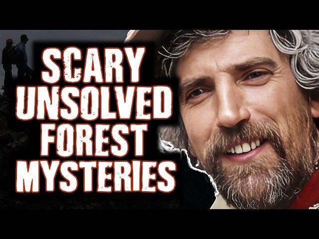 Unsolved & Terrifying: 5 Dark Forest Mysteries