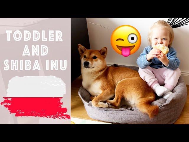 VLOG TODDLER PLAY WITH DOG, MCDONALDS, BABY COOKING [LIVING IN POLAND] 2023