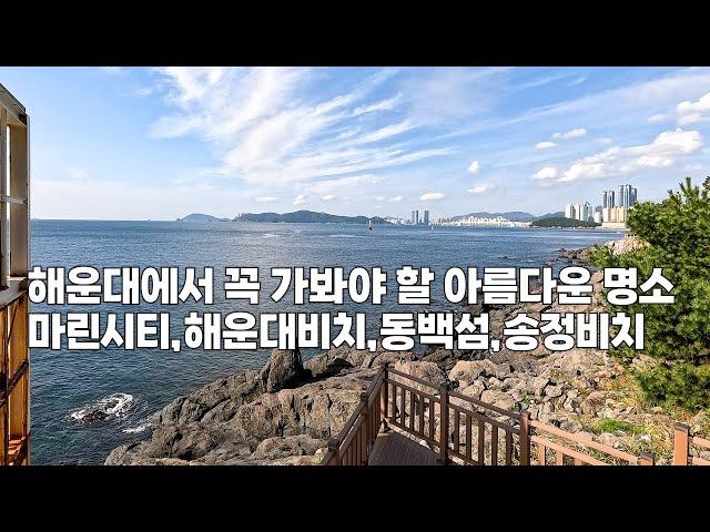 부산 해운대 가볼만한 곳!! 지수투어가 추천하는 Top 4