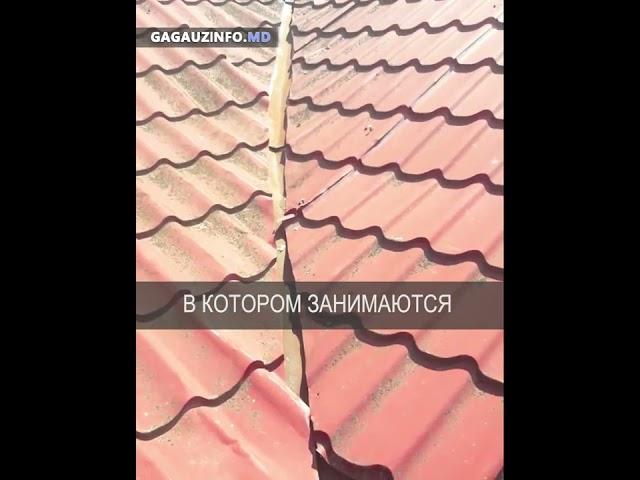 Реабилитационный центр в Вулканештах ОСТАЛСЯ БЕЗ КРОВЛИ