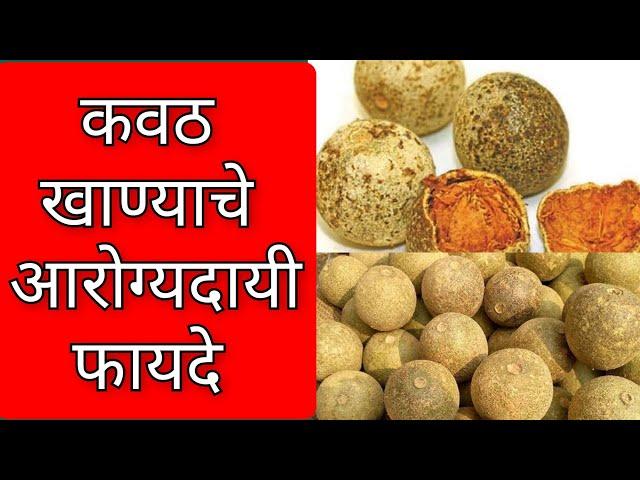 कवठ खाण्याचे फायदे | Benefits of Kavatha | Benefits of Wood Apple Benefits