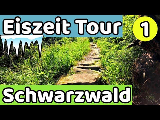 Eiszeittour #1 | Bezaubernder See | Wandern im Schwarzwald | Traumpfad