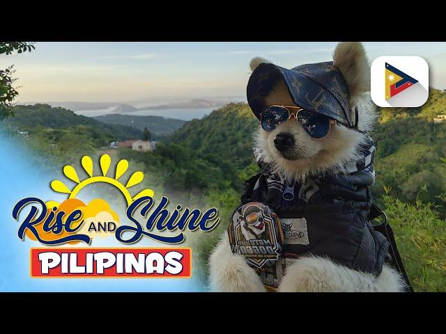 Adorable moto doggo na si Cory, kilalanin!