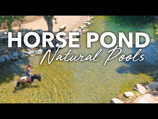 NATURAL POOLS For HORSES - No Chlorine - Aquascape SWIM POND Biological Filtration