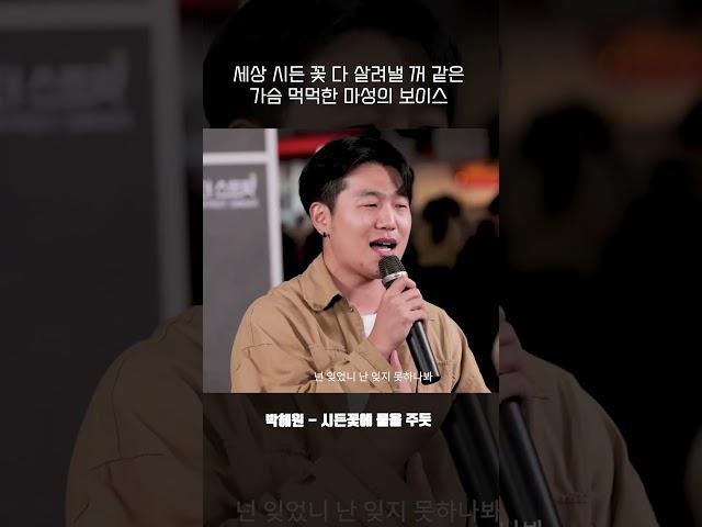 존박의 뒤를 잇는 시든꽃 남자 커버...!! 역대급입니다 #박혜원 #hynn #시든꽃에물을주듯