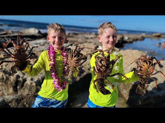 9 Days Fishing & Foraging in Hawaii - Lobster Diving + Spearfishing Catch & Cook