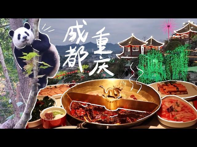 china travel vlog: chengdu & chongqing | 四川成都重庆