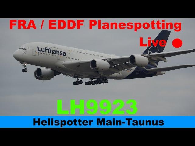 FRA LIVE  Planespotting | Comeback Lufthansa Airbus A380 D-AIMB / LH9923