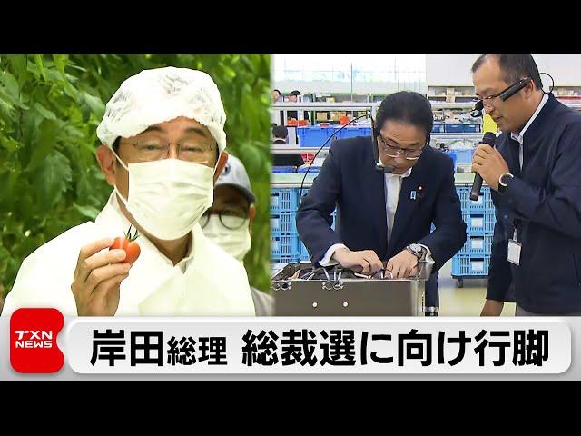 岸田総理 自民総裁選へ向け地方行脚本格化 山梨県連幹部と懇談