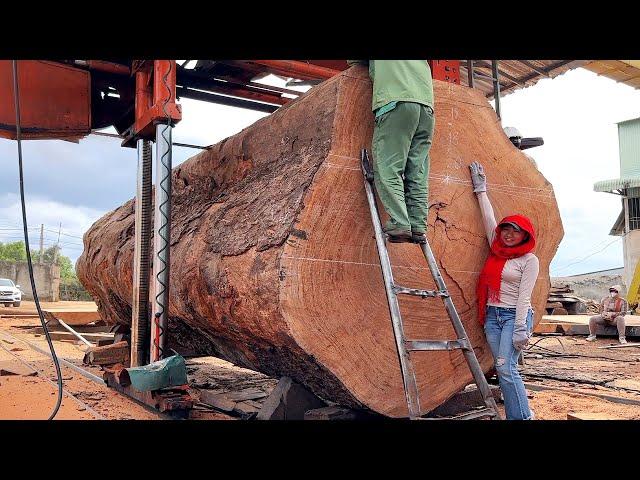 Wood Cutting Skills // The World's Largest Tree Left After The Ice Age