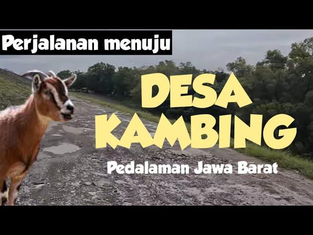 Perjalanan KAMPUNG KAMBING JATILUHUR jalan ke jatiluhur parang gombong purwakarta ke cibubur jakarta