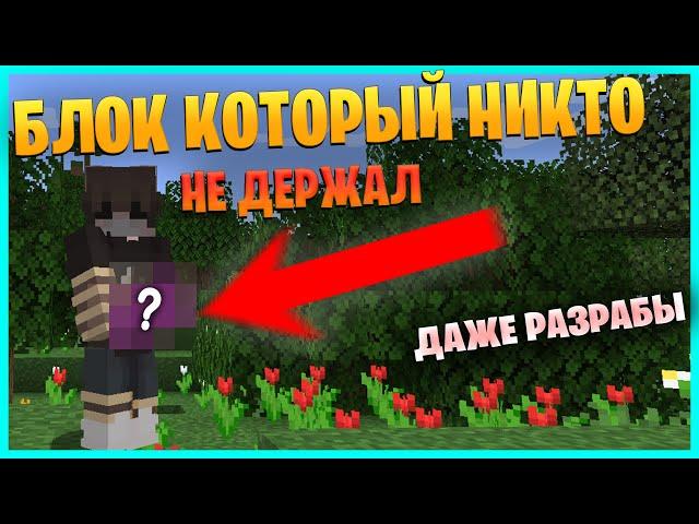 Я ПОДЕРЖАЛ БЛОК КОТОРЫЙ НИКТО НЕ ДЕРЖАЛ