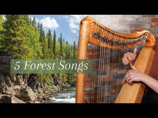 Learn these woodland songs on the harp (Celtic Harp)