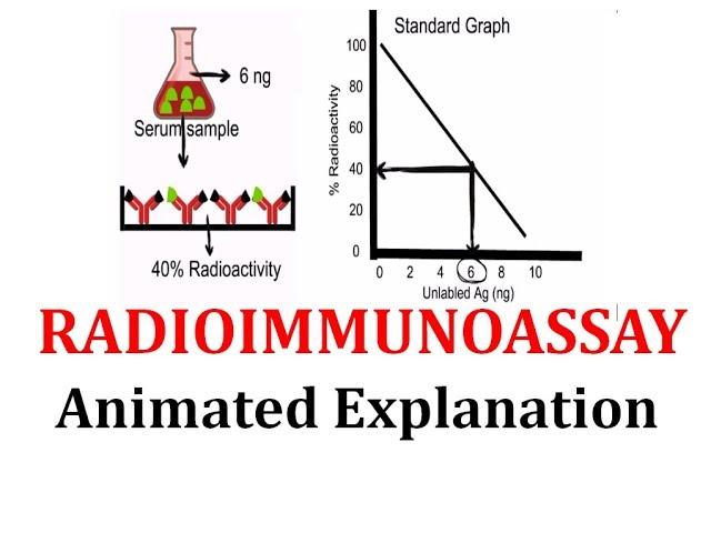 Radioimmunoassay (RIA): Animated explanation