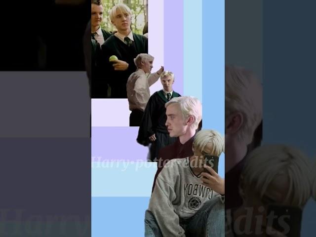 Draco Malfoy Sugar Crush || Tom Felton || Harry Potter || Hp || Potterhead#MudbloodSocAuds