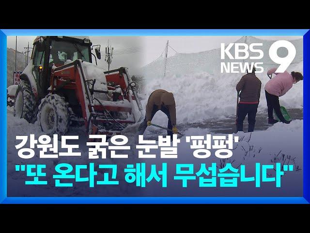 50cm 넘는 폭설에 사고·불편 속출…“더 올까 두렵다” [9시 뉴스] / KBS  2025.03.03.