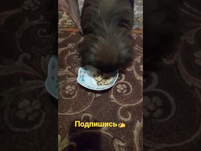Ой как вкусно!!!