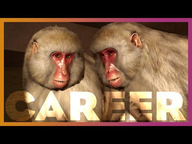  Japanese Macaques | Planet Zoo Career Mode
