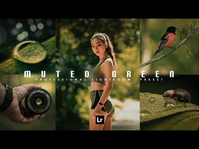 Color Grading Dark Green Presets Free Download: Premium Cinematic Filter Lightroom Photo Editing