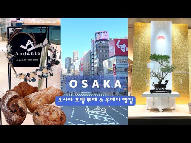 Hotel Buffet in Osaka | Osaka Gourmet | Good cost performance wine | Korean vlog