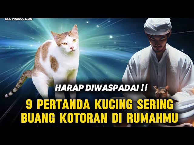 TERNYATA INI MAKNANYA !! 9 PERTANDA KUCING SERING BUANG KOTORAN DI DALAM RUMAHMU