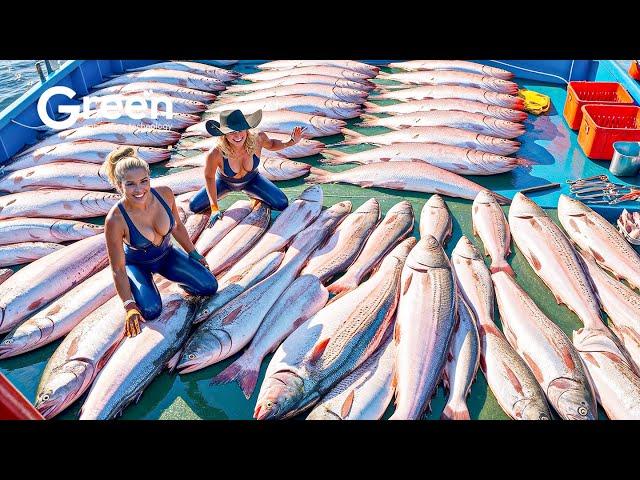 Salmon Fishing - How Norway Fisherman The Fishing of Tons of Salmon | Agriculture Technology