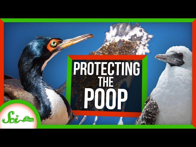 The First Conservation Efforts Protected… Poop?!