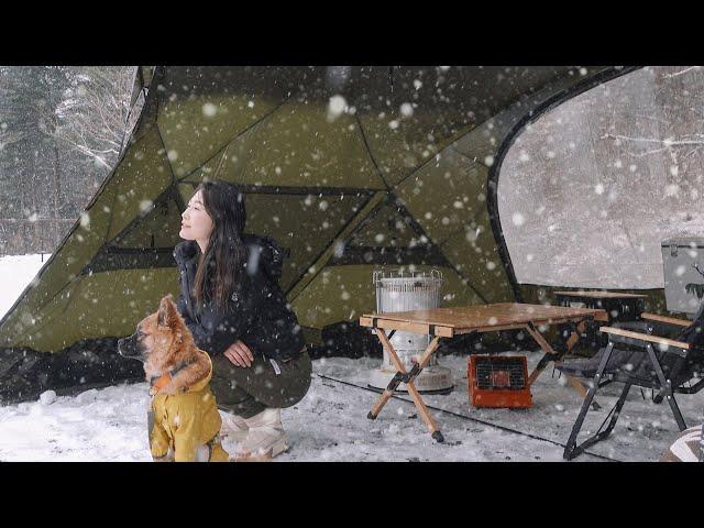 Solo Camping with DOG during a 24-hour SNOW STORM️ / Relaxing / Beautiful Scenery / SNOW ASMR