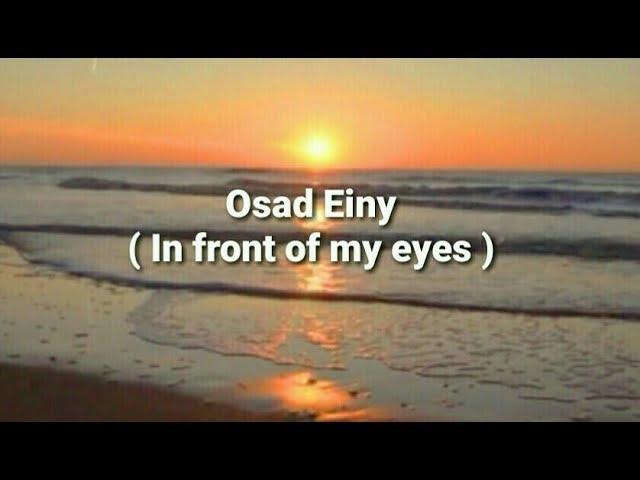 Osad Einy - Amr Diab