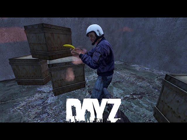 “Assassin” - DayZ Adventures With Random Survivors