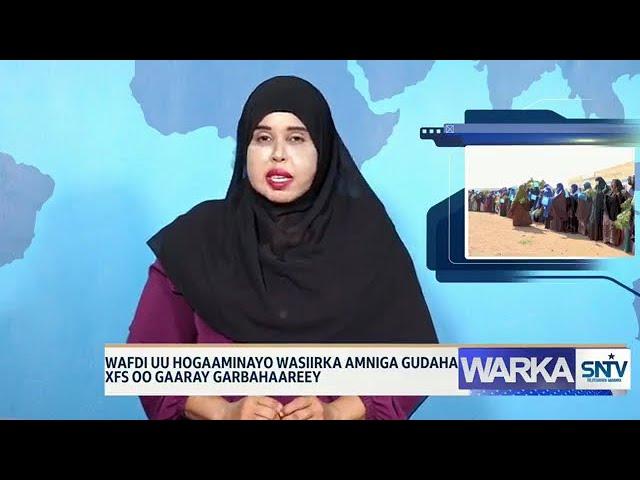 WARKA HABEEN EE SNTV 19 12 2024