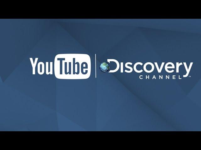 Bienvenue sur la chaîne YouTube de Discovery Channel