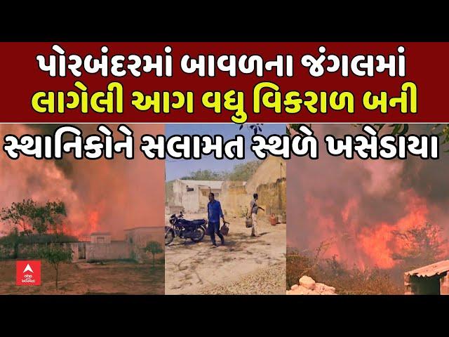 Fire at Porbandar | પોરબંદરમાં બાવળના જંગલમાં લાગેલી આગ વધુ વિકરાળ બની | abp Asmita LIVE