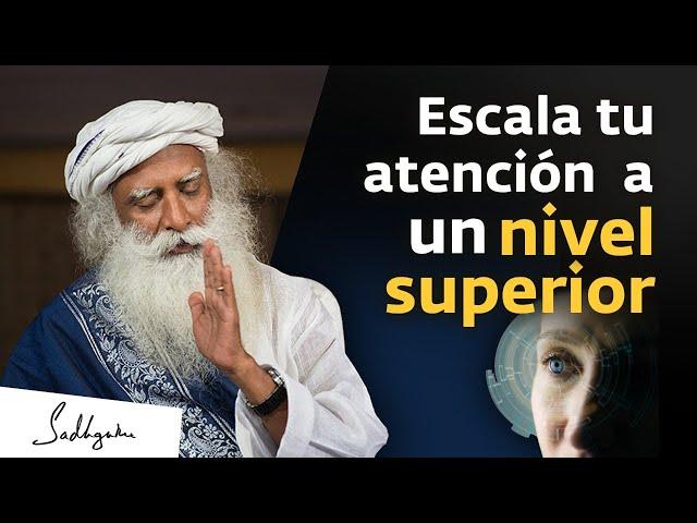 Cómo mejorar la concentración | Sadhguru