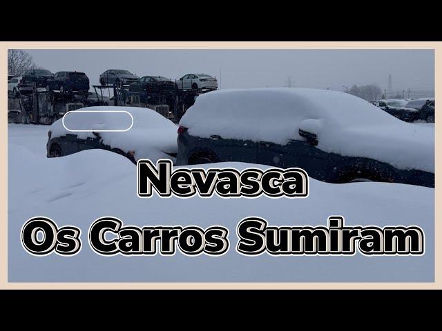 Os Carros soterrados de Neve - Carregamento da Cegonha Ep09/2025