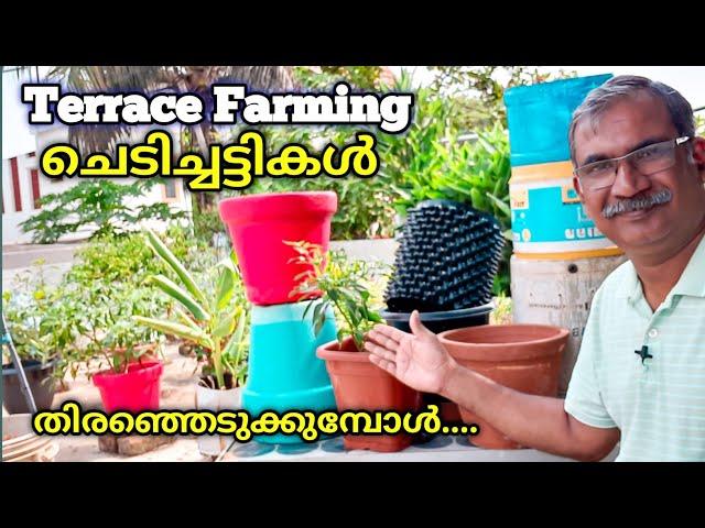 How to choose the right Containers for your Vegetable Garden | Terrace Garden Ideas Malayalam