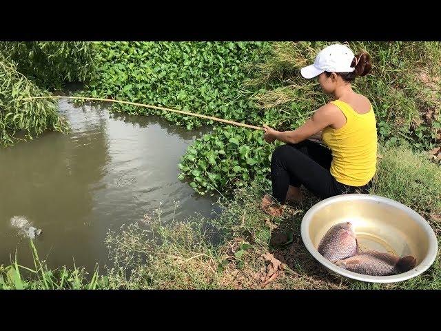 Survival Girl Fishing For Giant Gourami Fish